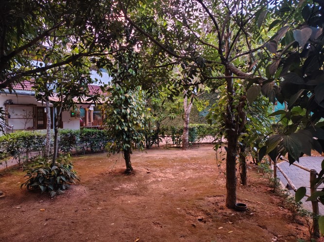 Party hall interior with campfire