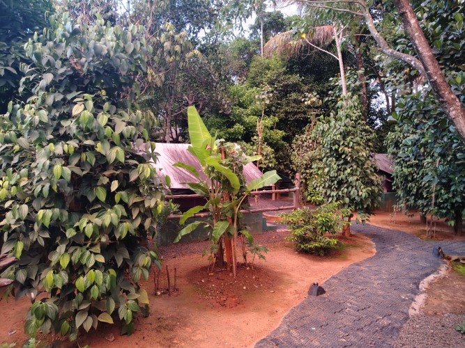 Curved walkway between tents